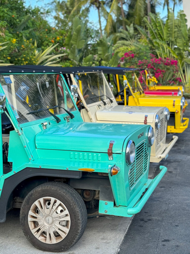 A line of MOKEs from Anguilla, lined up in front of tropical palms and bright pink bougainvillea!