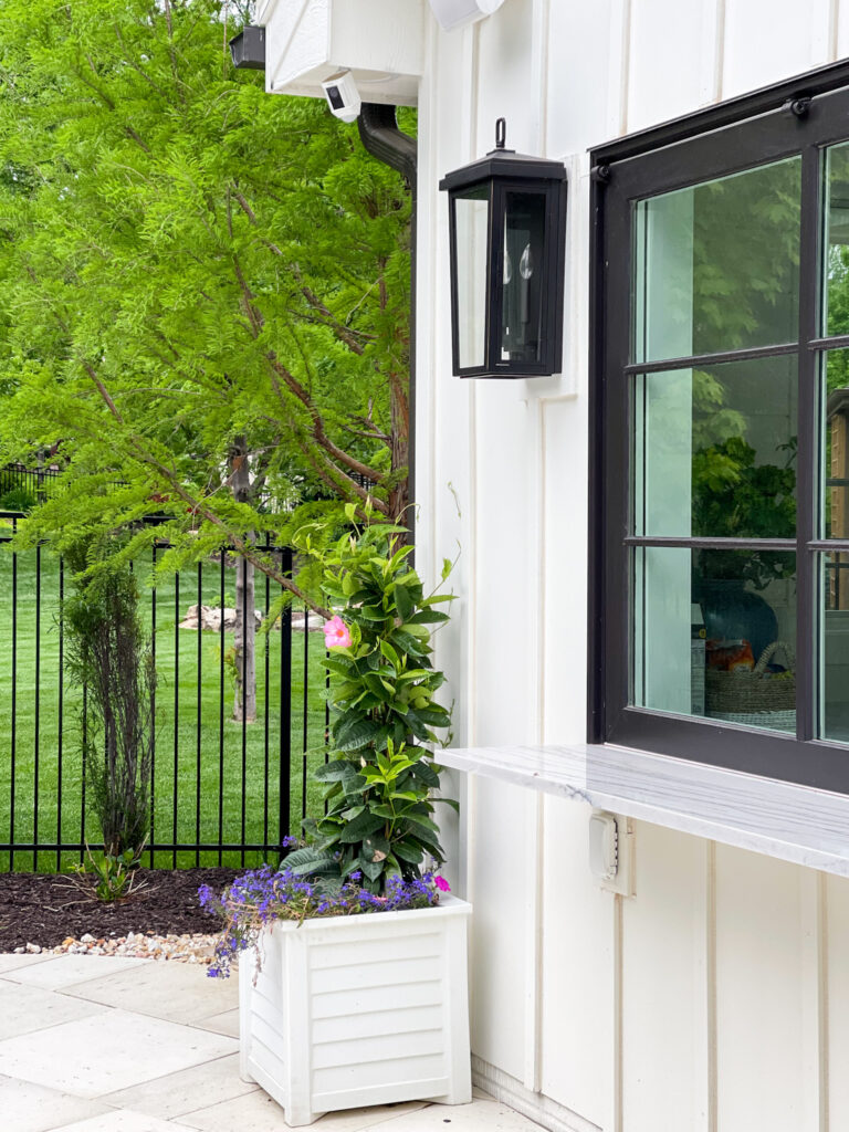 Outdoor wall lanterns on a white house with a mandevilla topiary planted nearby.